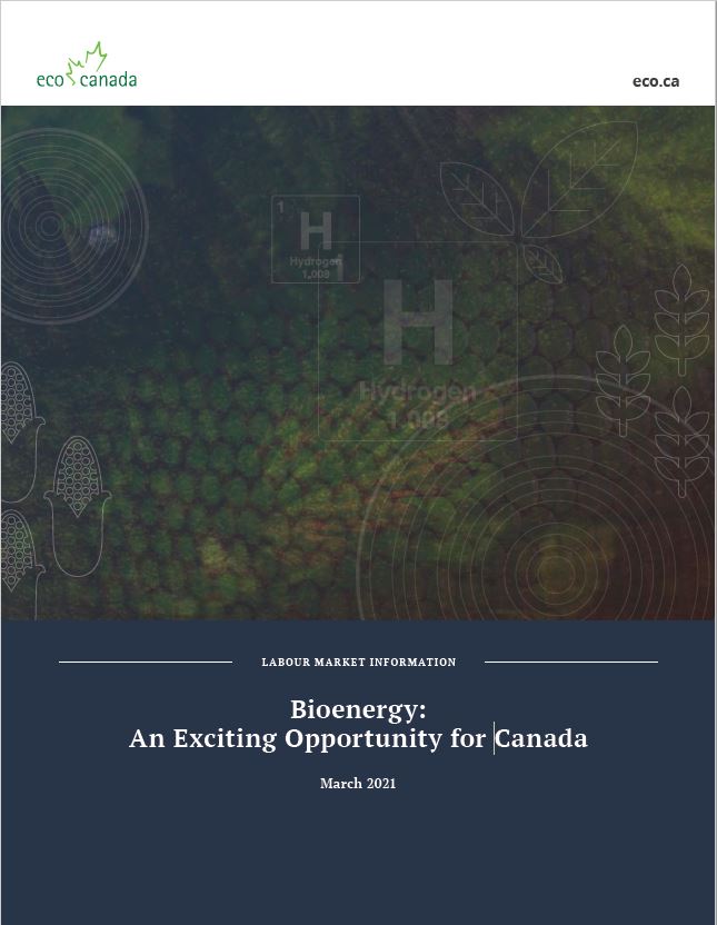 Bioenergy cover english ECO Canada research